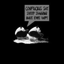 Rude Confucius say