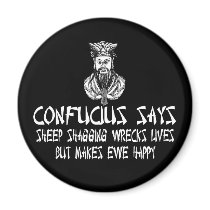 Rude Confucius saying Magnets