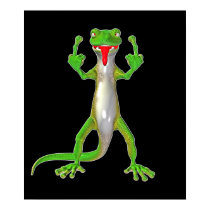 Rude Gecko Lizard posters