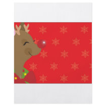RUDOLF FRAME flyers