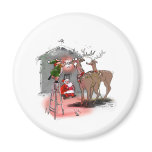 RuDoLf'S NoSe magnets