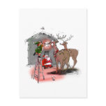 RuDoLf'S NoSe postcards