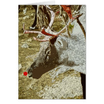 Rudolph cards