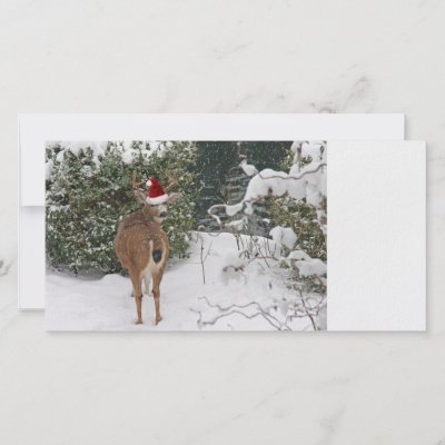 Rudolph the Red Nosed Reindeer photo cards