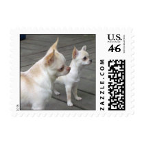 Rudy and Lucy stamps