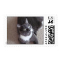 Rudy postage