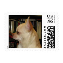 Rudy Profile 2009 stamps