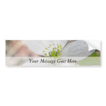 Rue Anemone - Thalictrum thalictroides Bumper Sticker