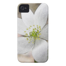 Rue Anemone - Thalictrum thalictroides Iphone 4 Cases