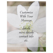 Rue Anemone - Thalictrum thalictroides Flyer Design