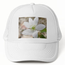 Rue Anemone - Thalictrum thalictroides Mesh Hats