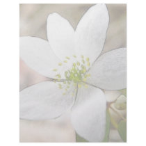 Rue Anemone - Thalictrum thalictroides Letterhead Design