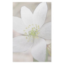 Rue Anemone - Thalictrum thalictroides Personalized Stationery