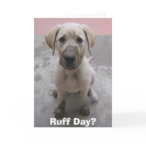 Ruff Day? Greeting Card