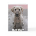 Ruff Day? cards by AliChandler Ruff Day? cards