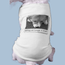 Ruff Life Corgi pet clothing by MenagerieMayhem Ruff Life Corgi pet clothing