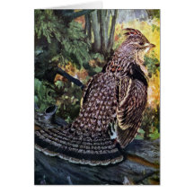 Ruffed Grouse in the Forest Greeting Card