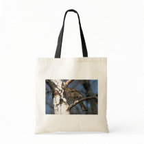 Ruffed grouse perched in a birch tree bags