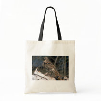 Ruffed grouse standing on a birch log bags