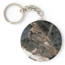 Ruffed grouse standing on a birch log keychain