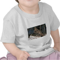 Ruffed grouse standing on a birch log shirts