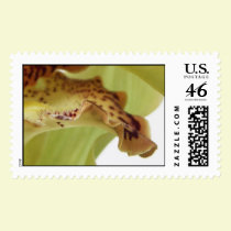 Ruffled Edge postage