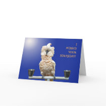 Ruffled Feathers cards