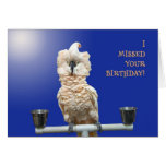 Ruffled Feathers Greeting Card