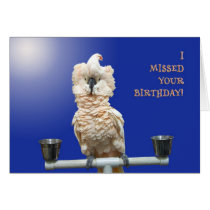 Ruffled Feathers cards