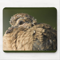 Ruffled Feathers Mousepad