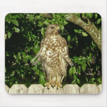 Ruffled Feathers mousepads