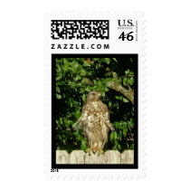 Ruffled Feathers postage