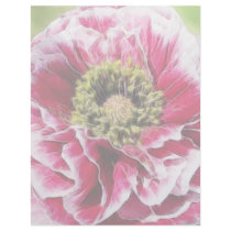 Ruffled Poppy - Rich Rose Personalized Letterhead
