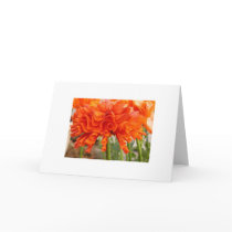 Ruffled Ranunculus Card