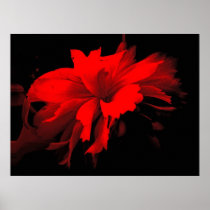 ruffles 2 posters