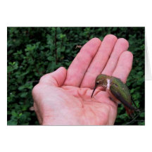 Rufous/Allen's Hummingbird • Joe Sweeney - card