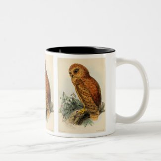 Rufous Fishing Owl Vintage Illustration Two-Tone Coffee Mug