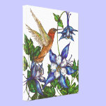 Rufous Hummingbird and Columbine canvas prints