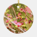 Rufous Hummingbird and Flowers Christmas Tree Ornaments