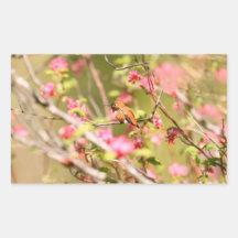 Rufous Hummingbird and Flowers Rectangular Sticker