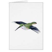Rufous Hummingbird Cards