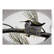 Rufous hummingbird greeting cards