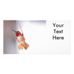 Rufous Hummingbird In Flight Photo Cards