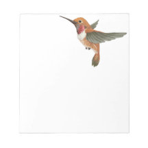 Rufous Hummingbird Memo Notepad