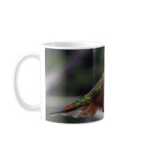 Rufous Hummingbird - Mugs