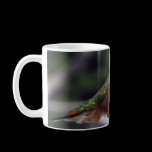 Rufous Hummingbird - Mugs mugs