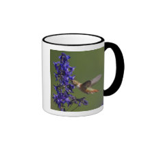Rufous Hummingbird, Selasphorus rufus, female Coffee Mug