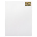 Rufous Hummingbird Sitting Custom Letterhead