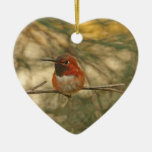 Rufous Hummingbird Sitting Ornaments