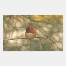 Rufous Hummingbird Sitting Sticker